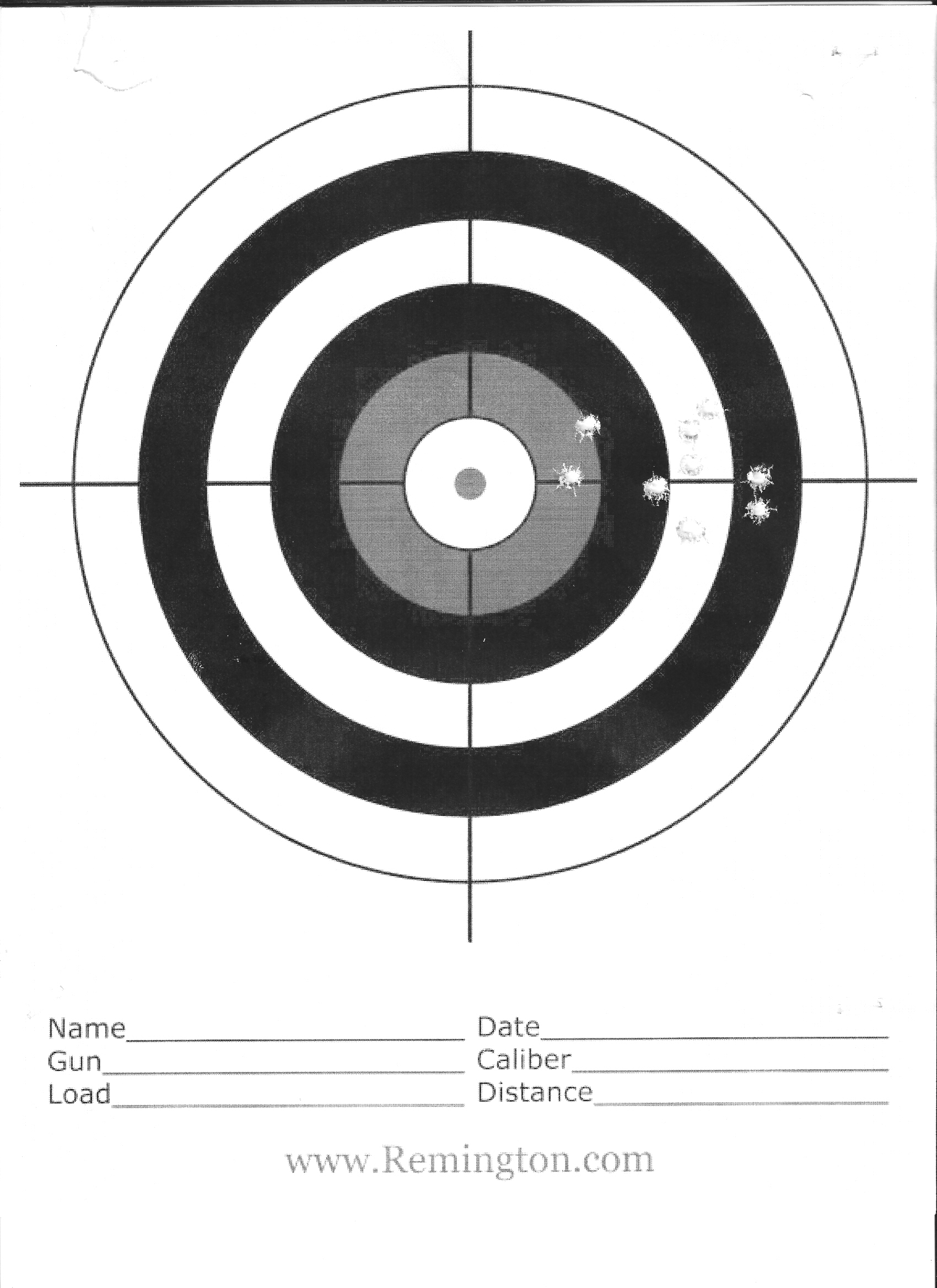 Gunsnet rimfire carbine target