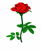 rosespin