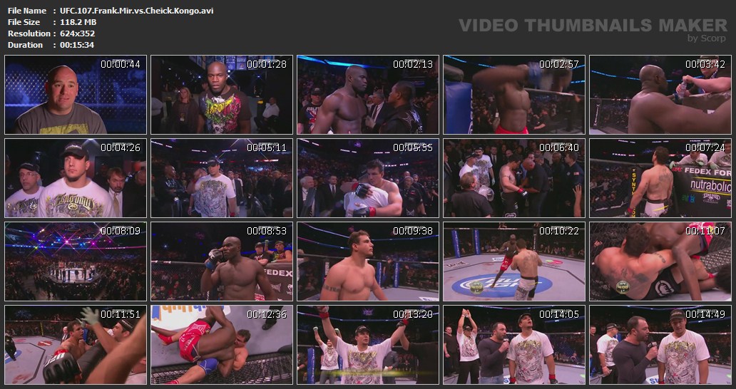 UFC 107 Frank Mir vs Cheick Kongo avi