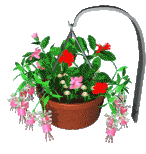 flowerbasket 3